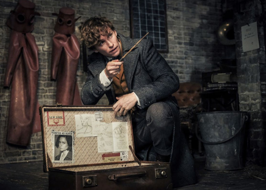 Fantastic Beasts The Crimes of Grindelwald DVD - Little Shop of Horrors