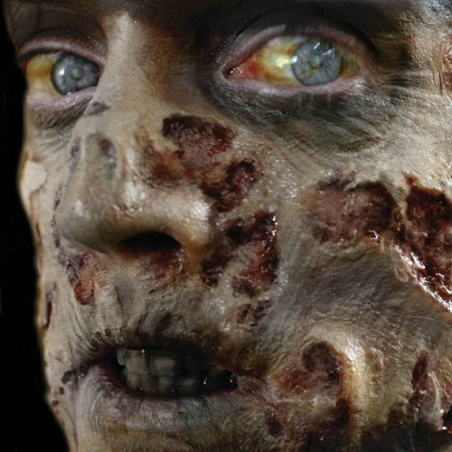 Zombie Rot 3D Fx Transfer - Medium - Little Shop of Horrors