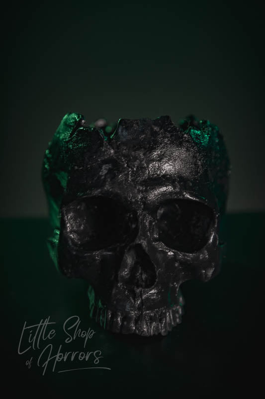 Skull Planter: Large - Little Shop of Horrors