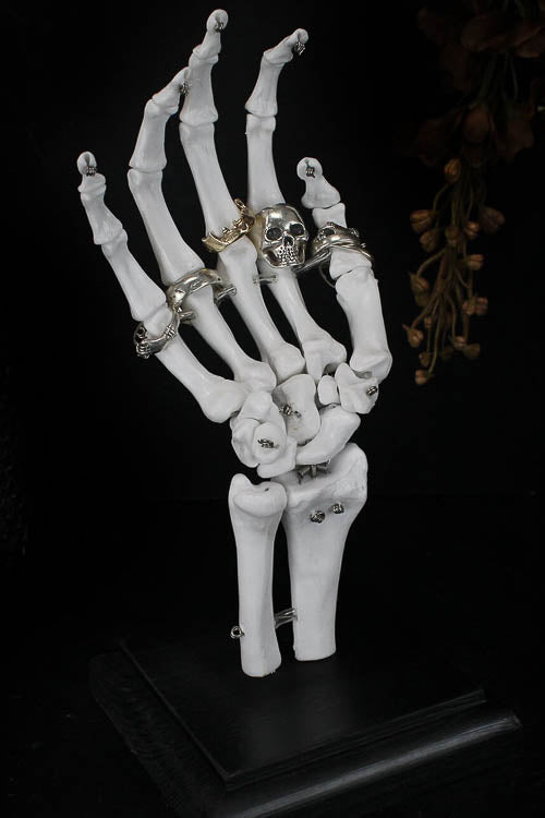 Skeleton Hand Jewellery Stand - Little Shop of Horrors