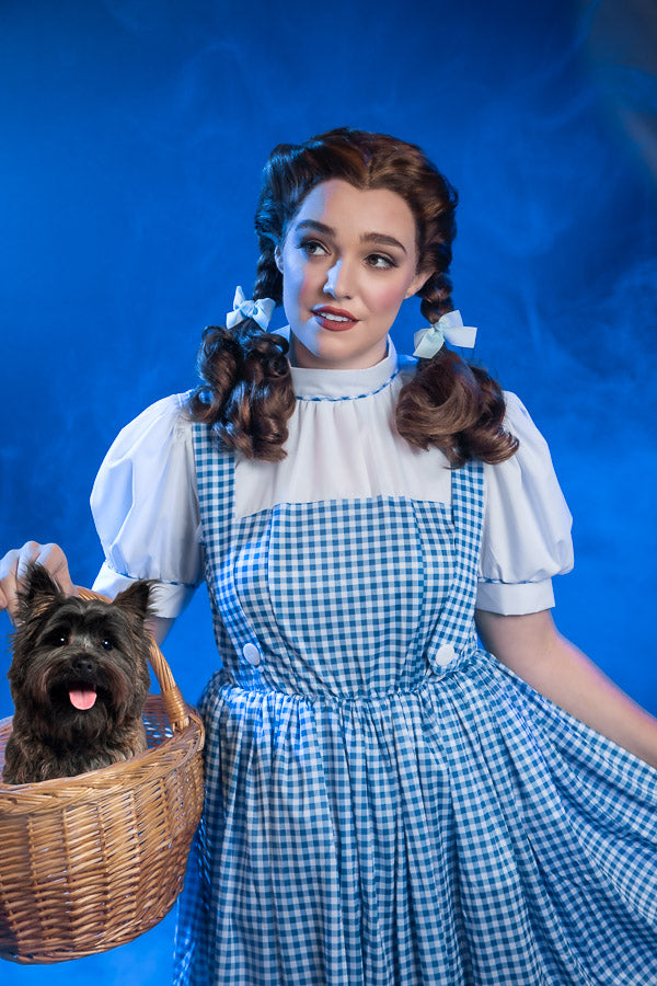 Wizard of Oz Dorothy Gale Costume Hire, plus Makeup and Photography. Proudly by and available at, Little Shop of Horrors Costumery 6/1 Watt Rd Mornington & Melbourne