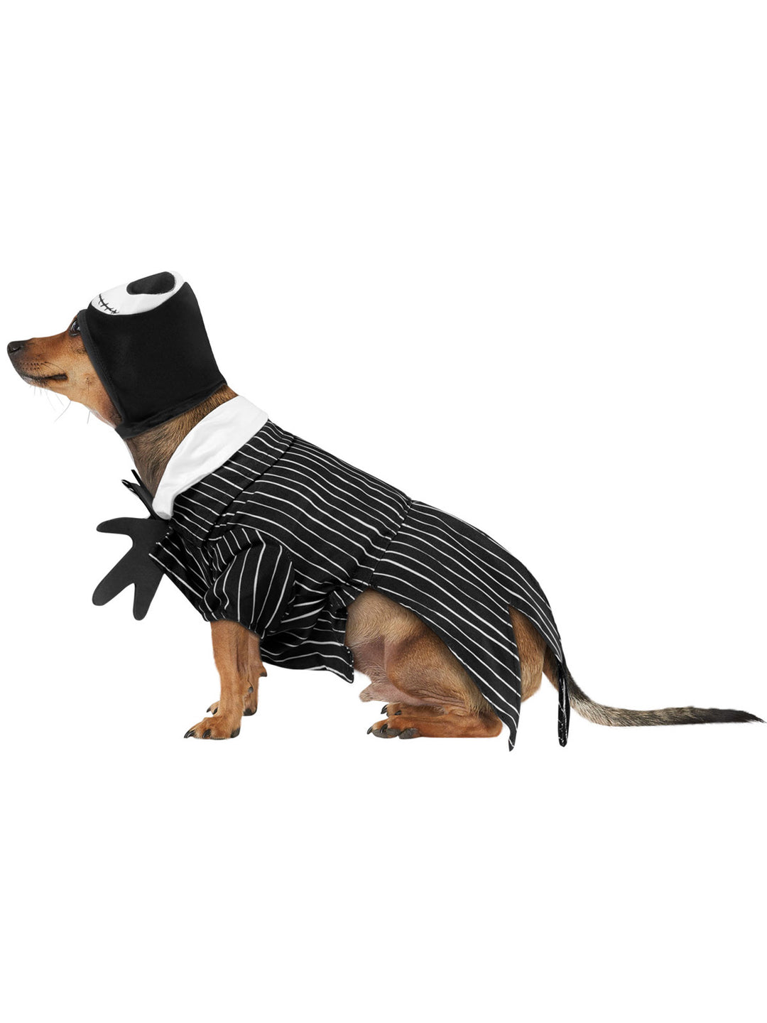 JACK SKELLINGTON PET COSTUME - Little Shop of Horrors Costumery & Pop-Culture Emporium - 16 Bennetts Rd Mornington Melbourne - Melbourne's Most Iconic Costume Shop