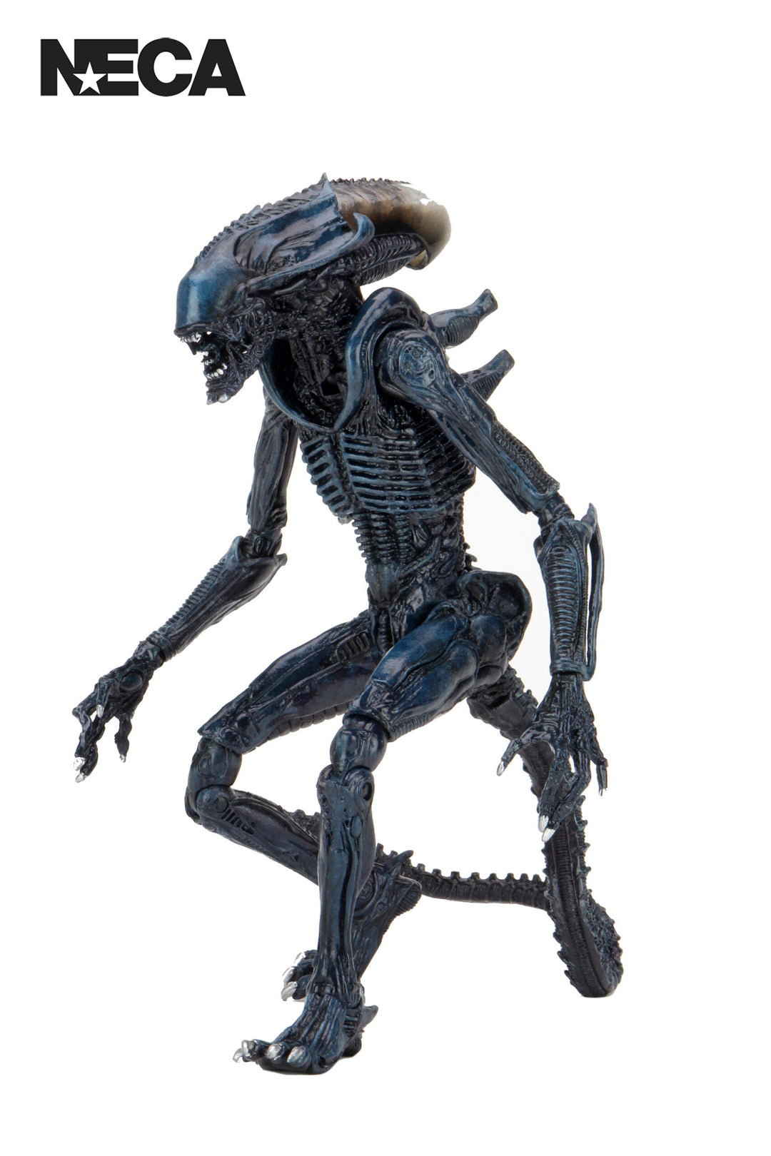 ALIENS ARACHNOID ALIEN VS PREDATOR 7″ ACTION FIGURE