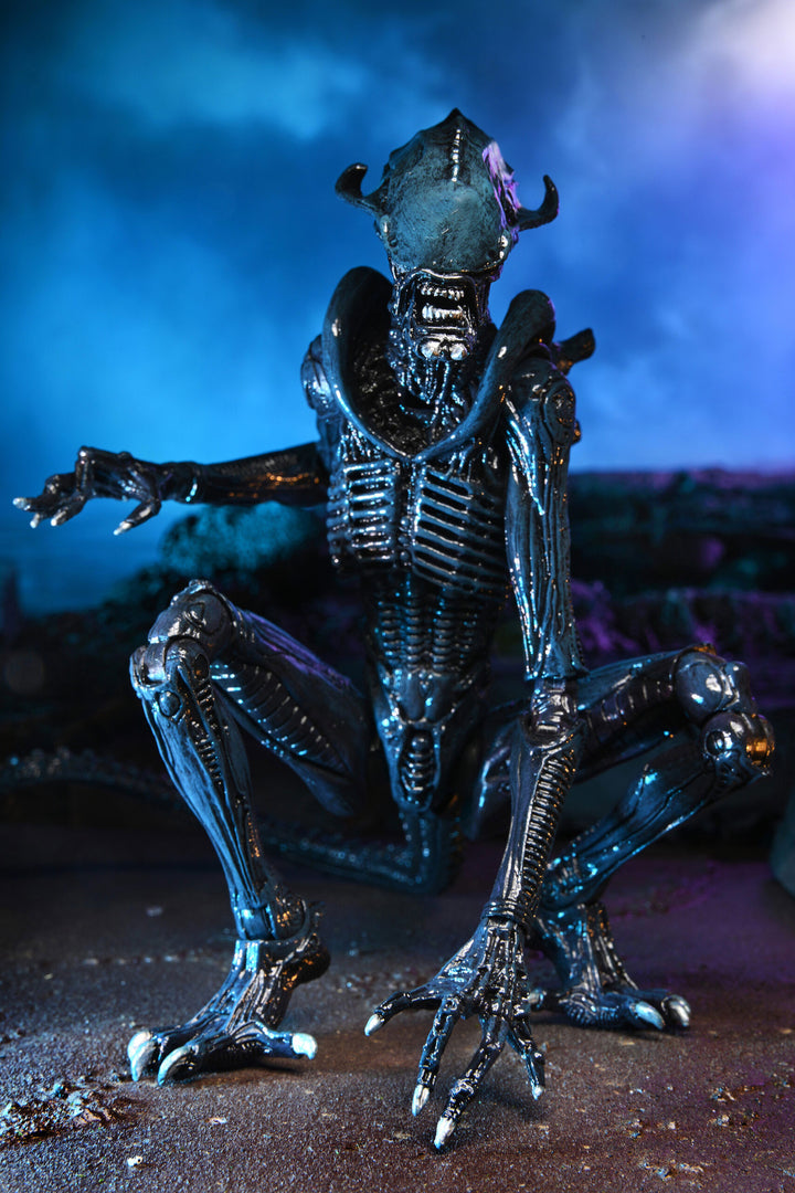 ALIENS ARACHNOID ALIEN VS PREDATOR 7″ ACTION FIGURE