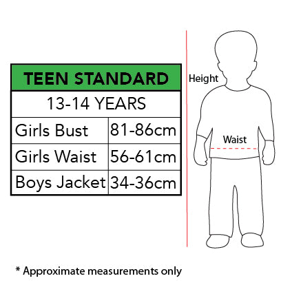T-REX INFLATABLE COSTUME, TEEN