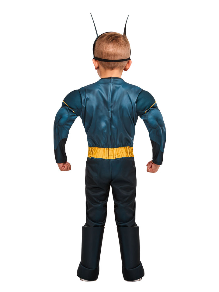 BATMAN DC SUPER PETS COSTUME, CHILD - Little Shop of Horrors Costumery & Pop-Culture Emporium - 16 Bennetts Rd Mornington Melbourne - Melbourne's Most Iconic Costume Shop