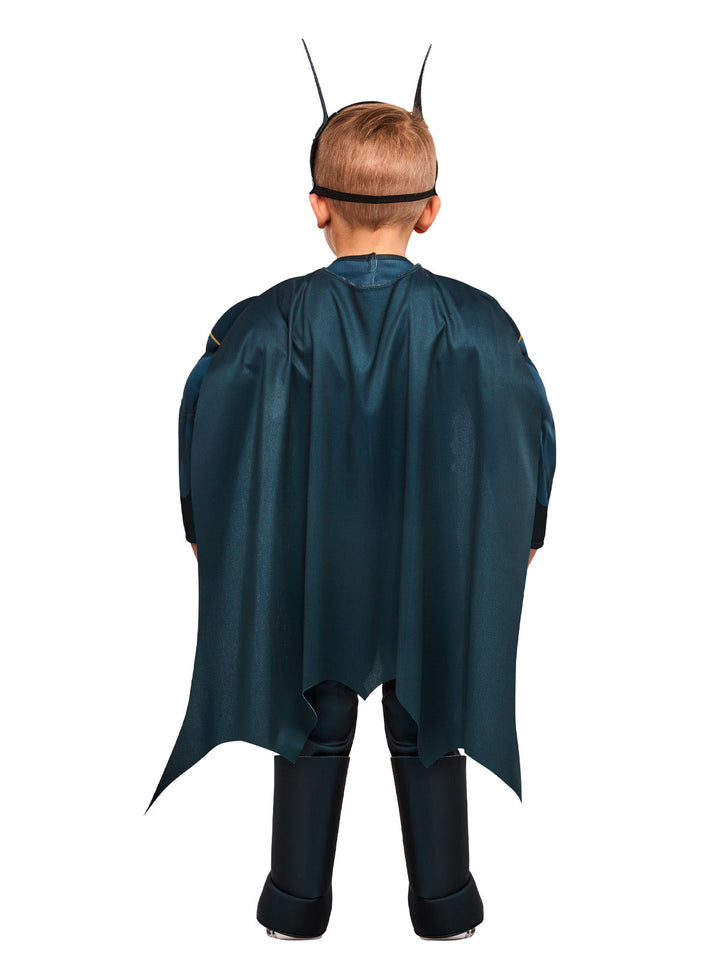BATMAN DC SUPER PETS COSTUME, CHILD - Little Shop of Horrors Costumery & Pop-Culture Emporium - 16 Bennetts Rd Mornington Melbourne - Melbourne's Most Iconic Costume Shop
