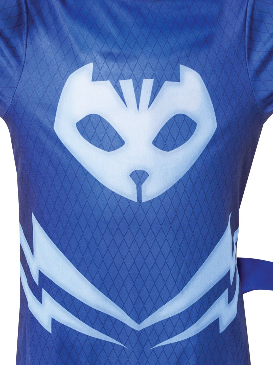 CATBOY COSTUME – PJ MASKS - Little Shop of Horrors Costumery & Pop-Culture Emporium - 16 Bennetts Rd Mornington Melbourne - Melbourne's Most Iconic Costume Shop