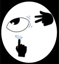 Little Shop of Horrors