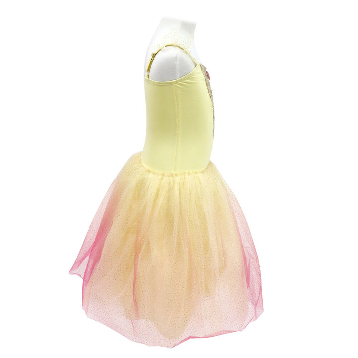 Disney Princess Belle Romantic Tutu Dress