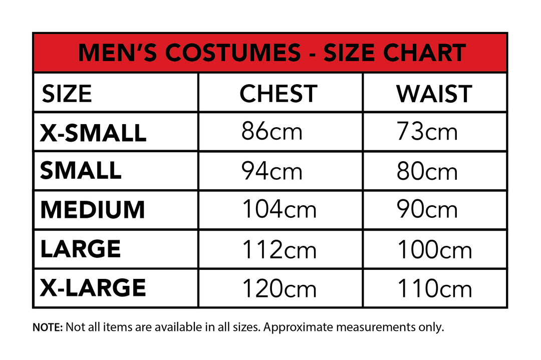 HE-MAN DELUXE COSTUME, ADULT