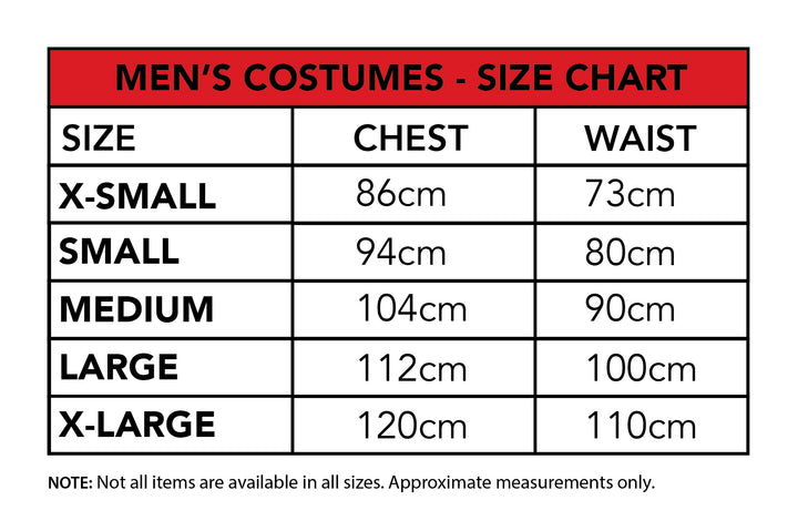 HE-MAN DELUXE COSTUME, ADULT