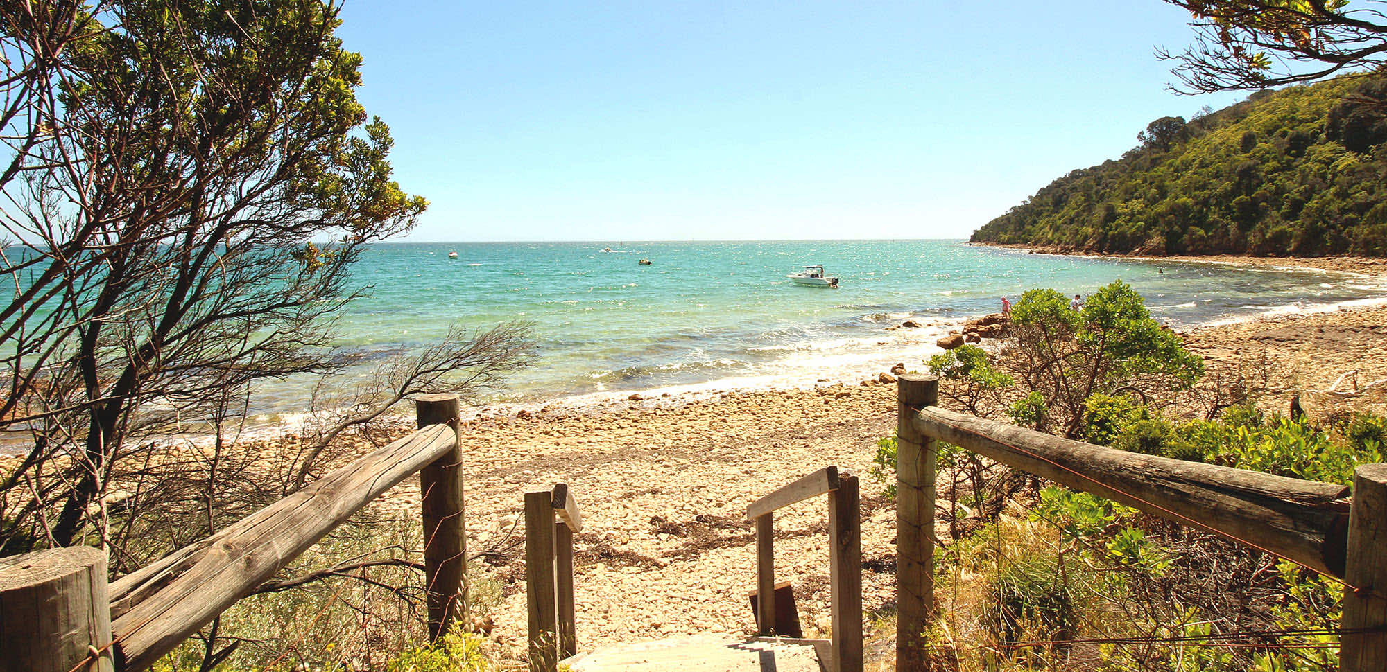 Little Shop of Horrors