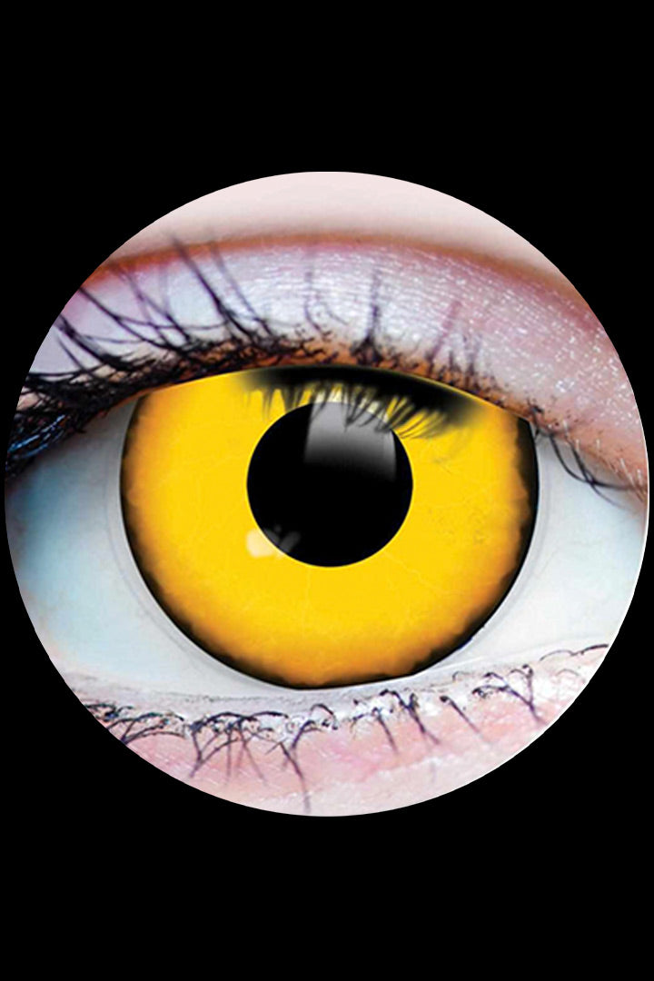 PRIMAL Nosferatu contact lenses, yellow undead horror FX eyes available at Little Shop of Horrors Mornington Melbourne.