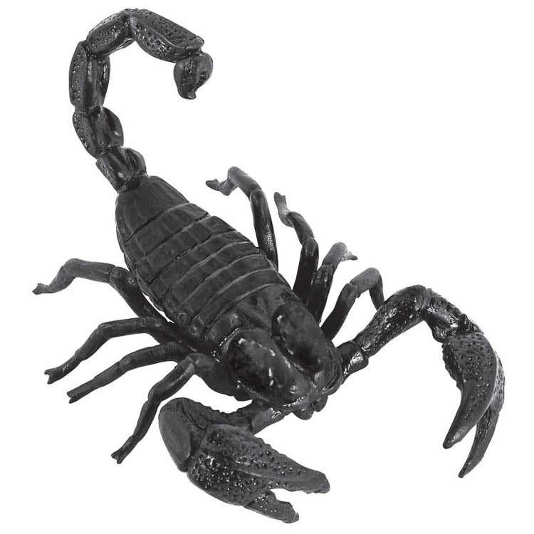 Giant Scorpion Prop - Little Shop of Horrors