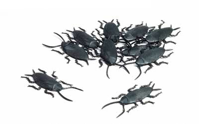 Cockroaches 36pc - Little Shop of Horrors