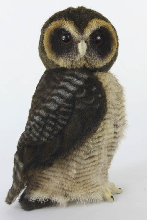 Asian Brown Wood Owl Plush 28cm - Little Shop of Horrors