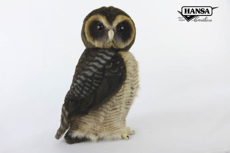 Asian Brown Wood Owl Plush 28cm - Little Shop of Horrors