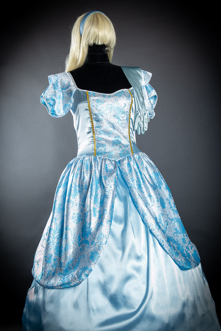 Disney Cinderella Costume Hire, plus Makeup and Photography. Proudly by and available at, Little Shop of Horrors Costumery 6/1 Watt Rd Mornington & Melbourne