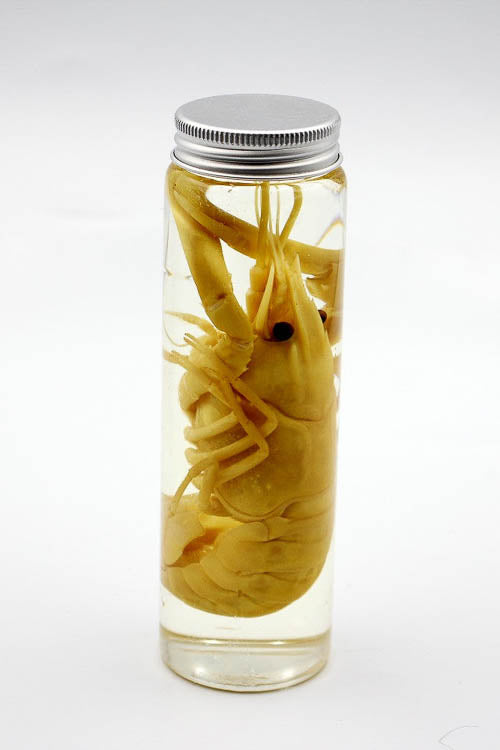 Crustacean Wet Specimen - Little Shop of Horrors