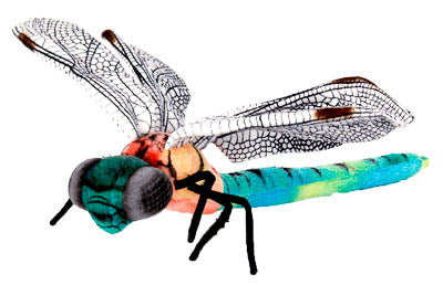 Dragonfly Plush 33cm - Little Shop of Horrors