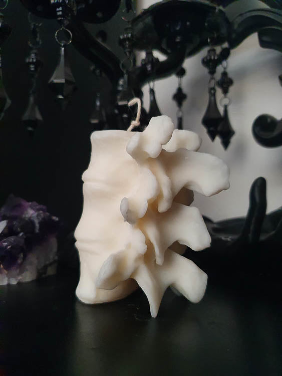 Vertebrae Candle - Little Shop of Horrors